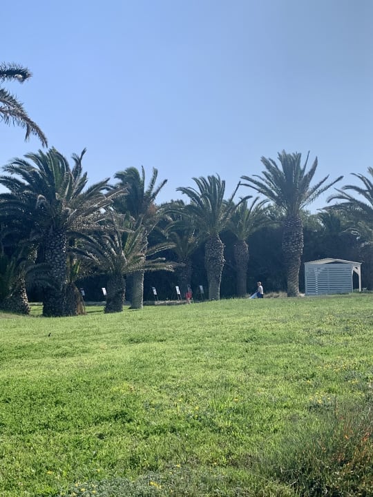 Gartenanlage Caravia Beach Hotel