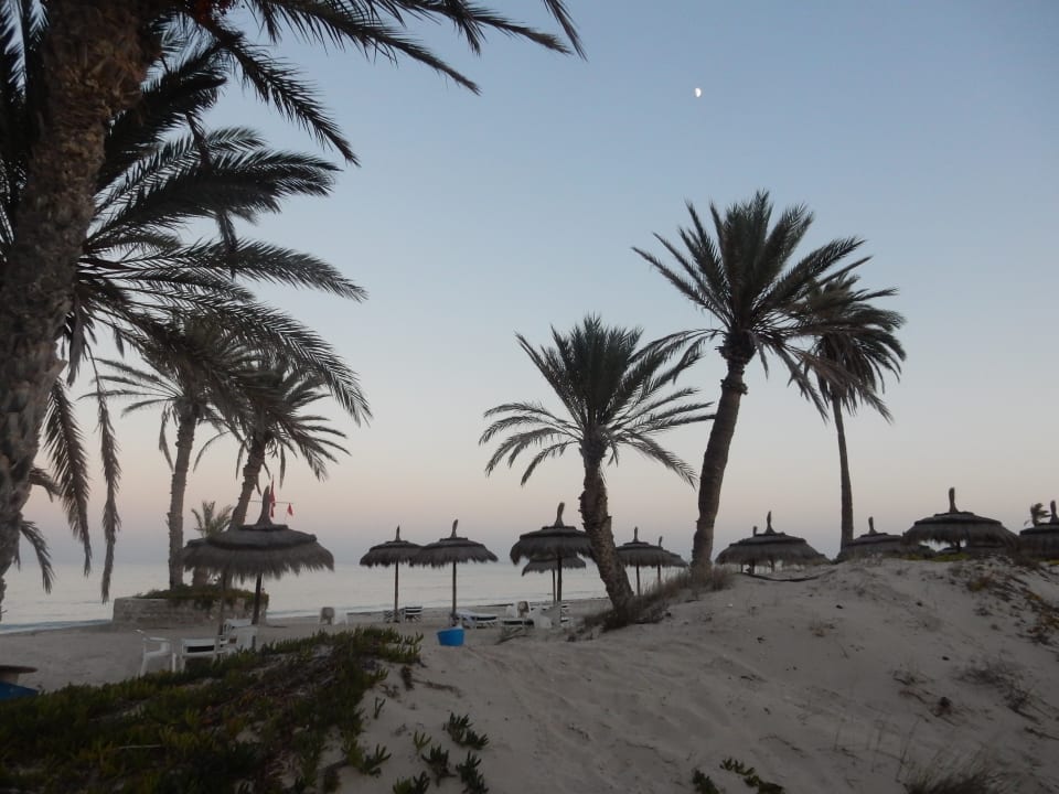Strand Hotel El Mouradi Djerba Menzel