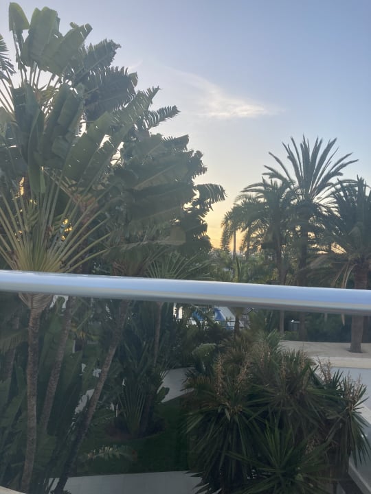 Ausblick Hotel Riu Palace Palmeras