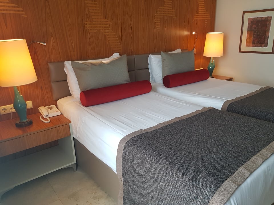 Zimmer PALOMA Perissia