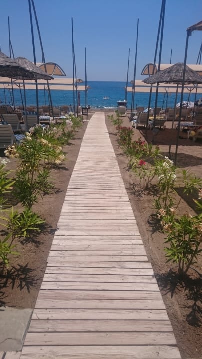 Strand Arycanda Kirman Premium