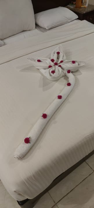 Zimmer Shams Prestige Abu Soma-Adults Only