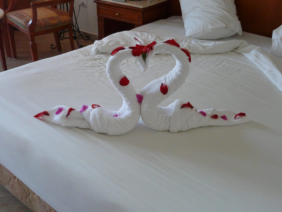 Nicht nur wegen bagschisch Malikia Resort Abu Dabbab