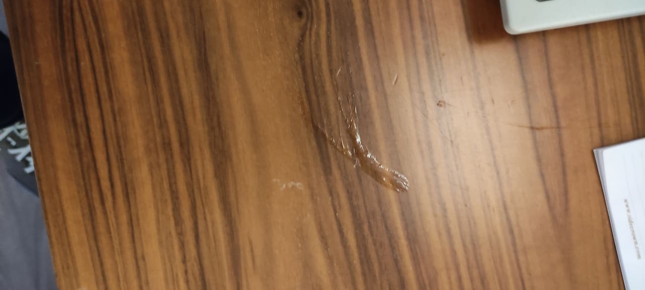 Zimmer Well Palace Side