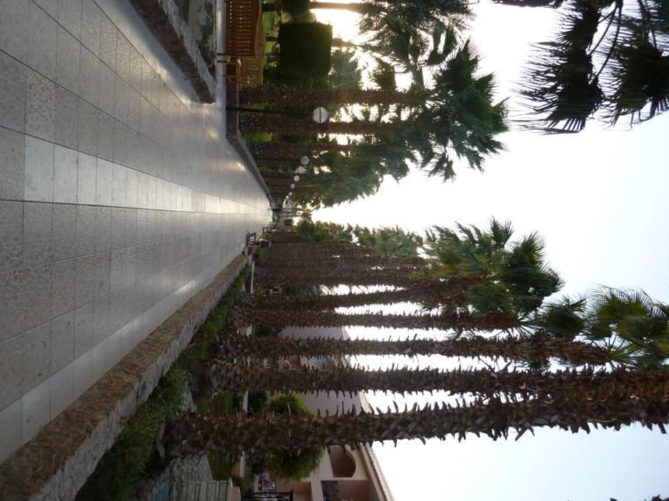Aleja Beach Albatros Resort