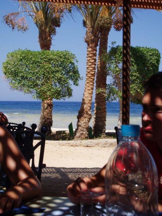 Strand Mövenpick Resort El Quseir