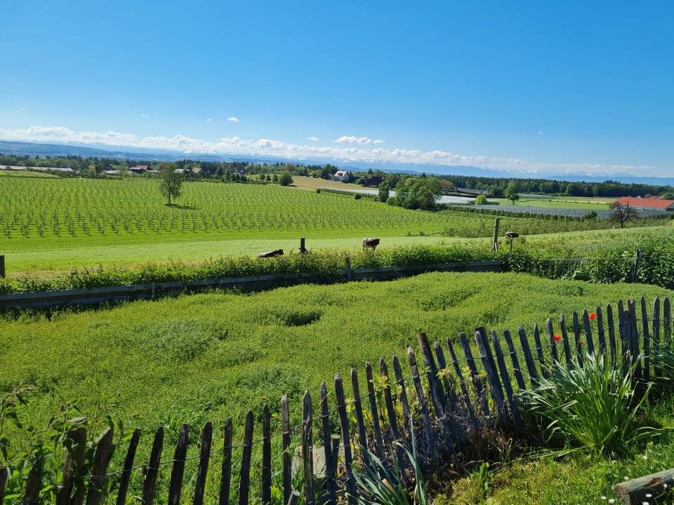 Ausblick Ferienhof Schmid