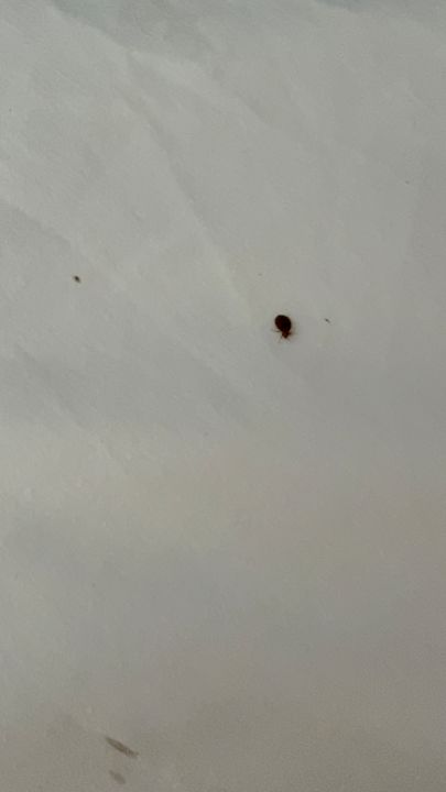 Zimmer Relax Beach Hotel