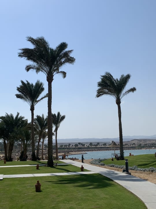 Ausblick Jaz Dar EL Madina