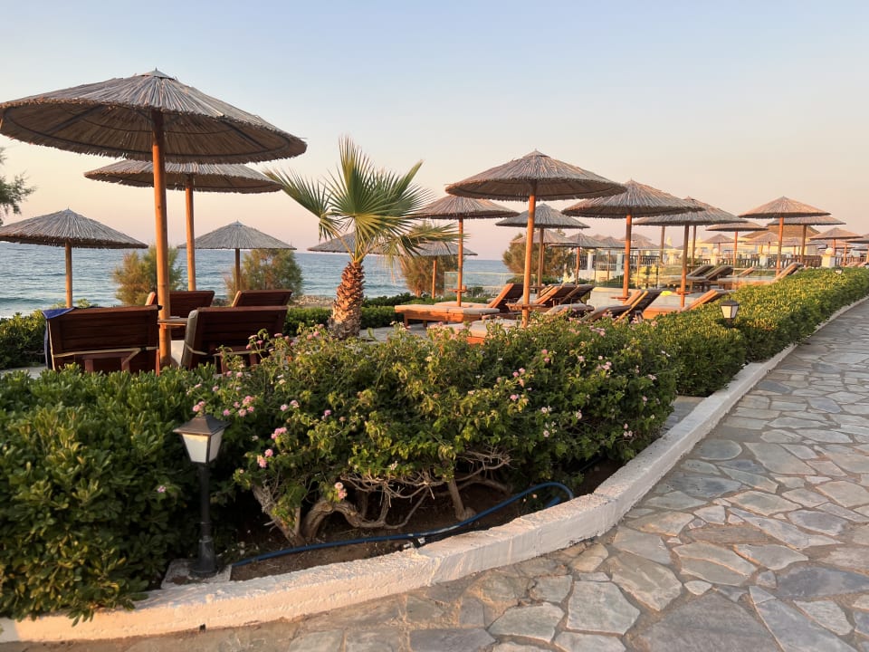 Gartenanlage Alexander Beach Hotel & Village Resort