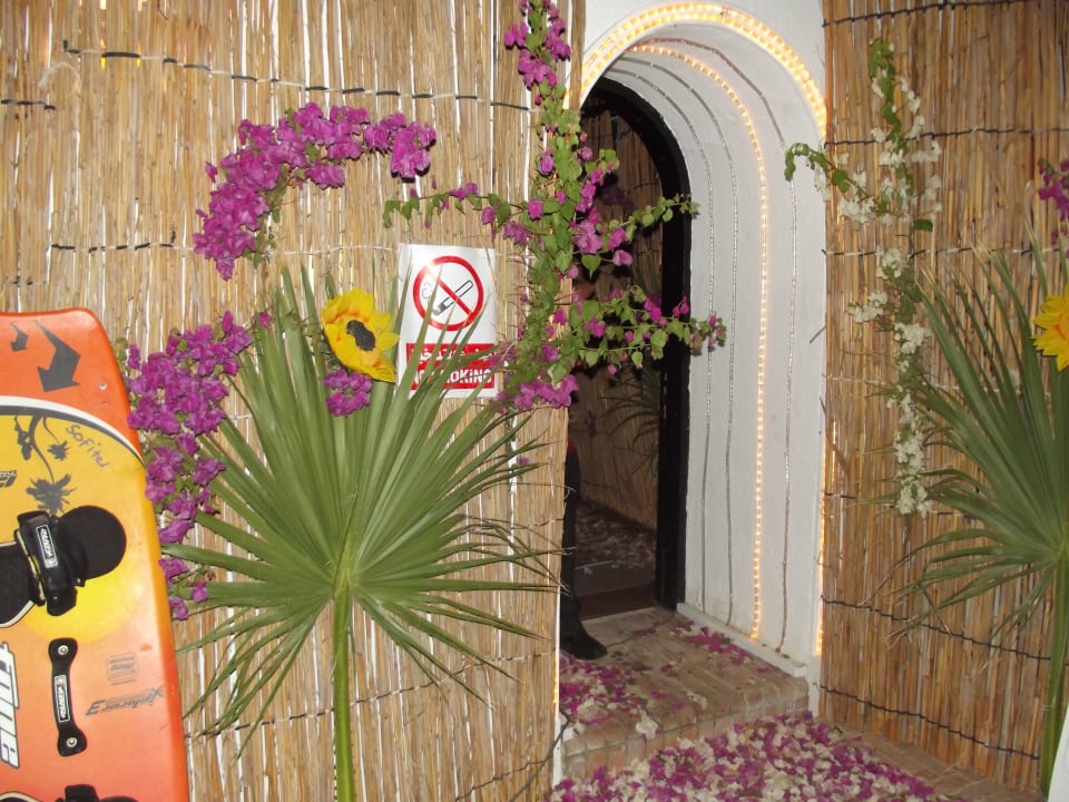 Пати Hotel Mercure Hurghada