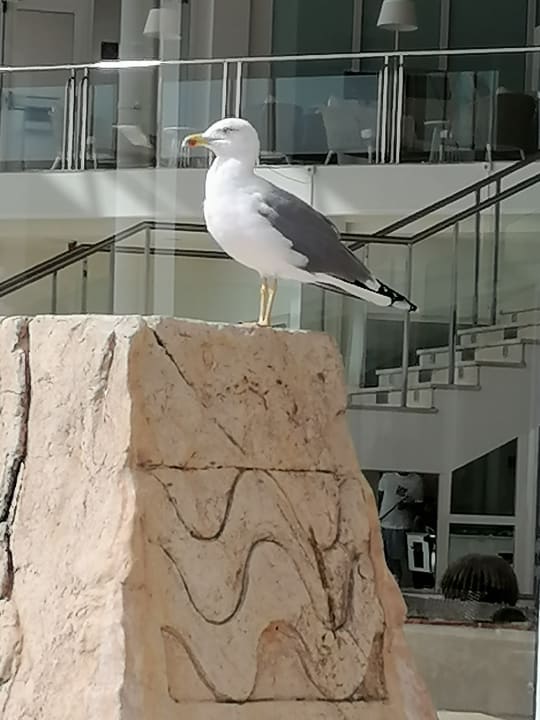 Sonstiges AluaVillage Fuerteventura