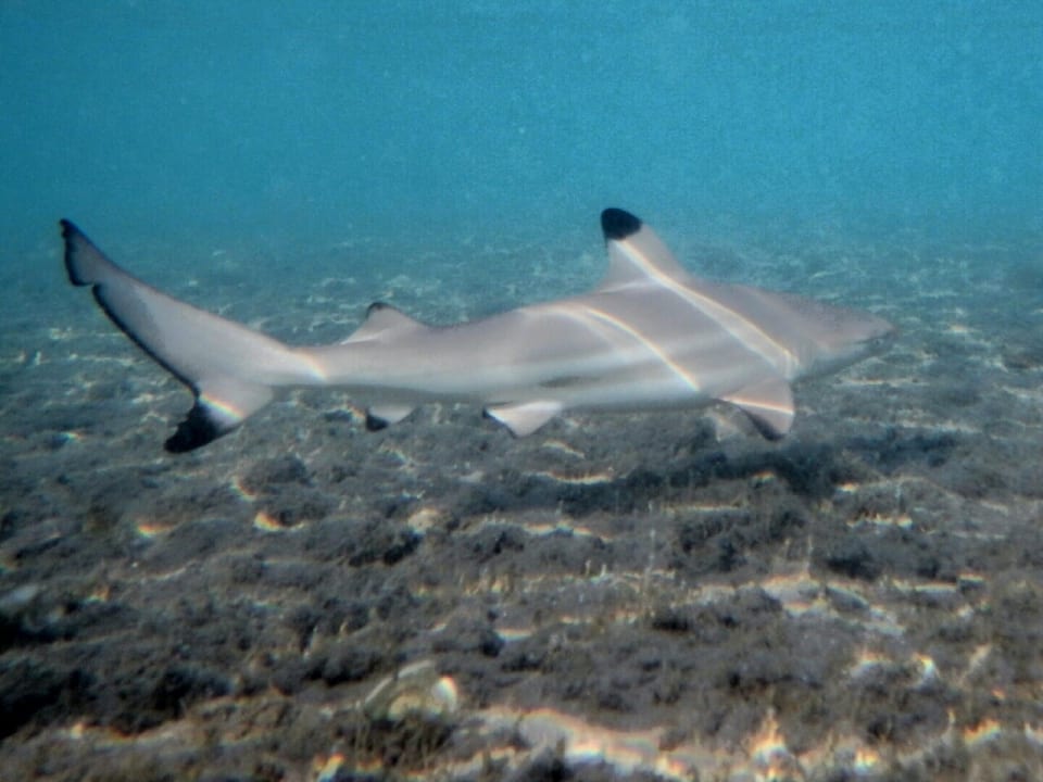 Sport & Freizeit Three Corners Equinox Beach Resort