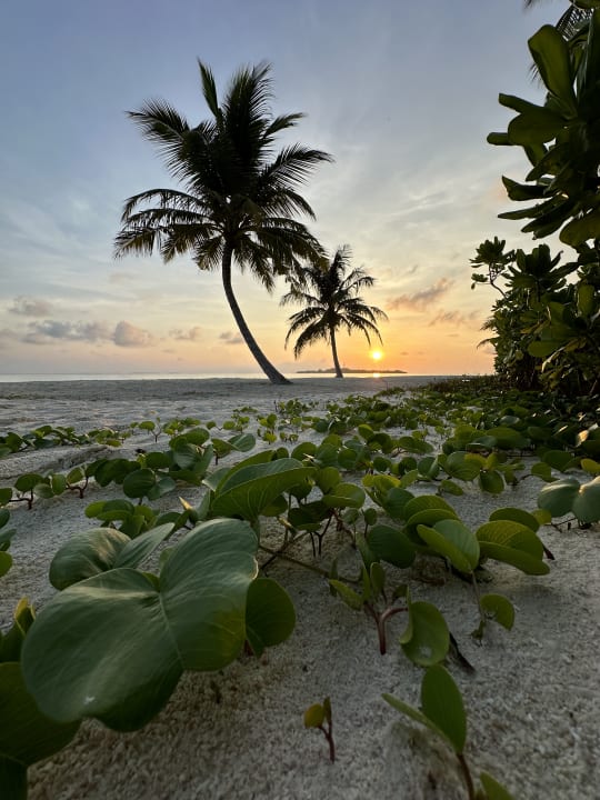 Strand Le Meridien Maldives Resort & Spa