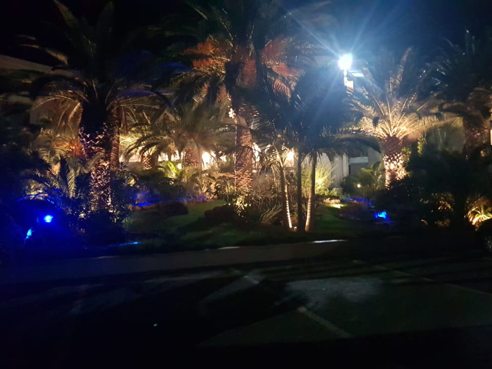 Garten Caravia Beach Hotel