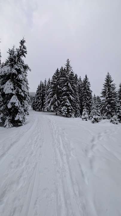 Sport & Freizeit Familienhotel Sonngastein