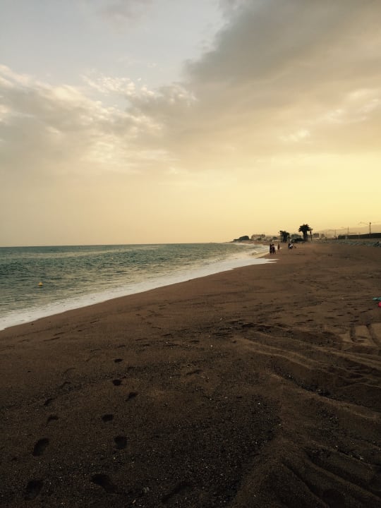 Strand ALEGRIA Caprici Verd