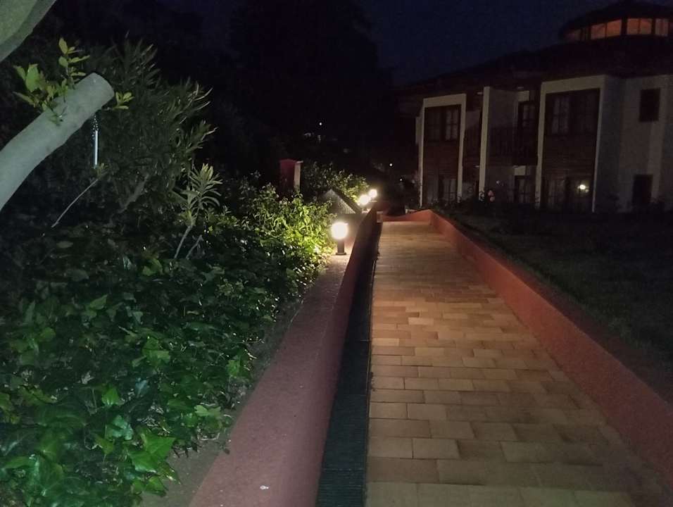 Außenansicht Montana Pine Resort