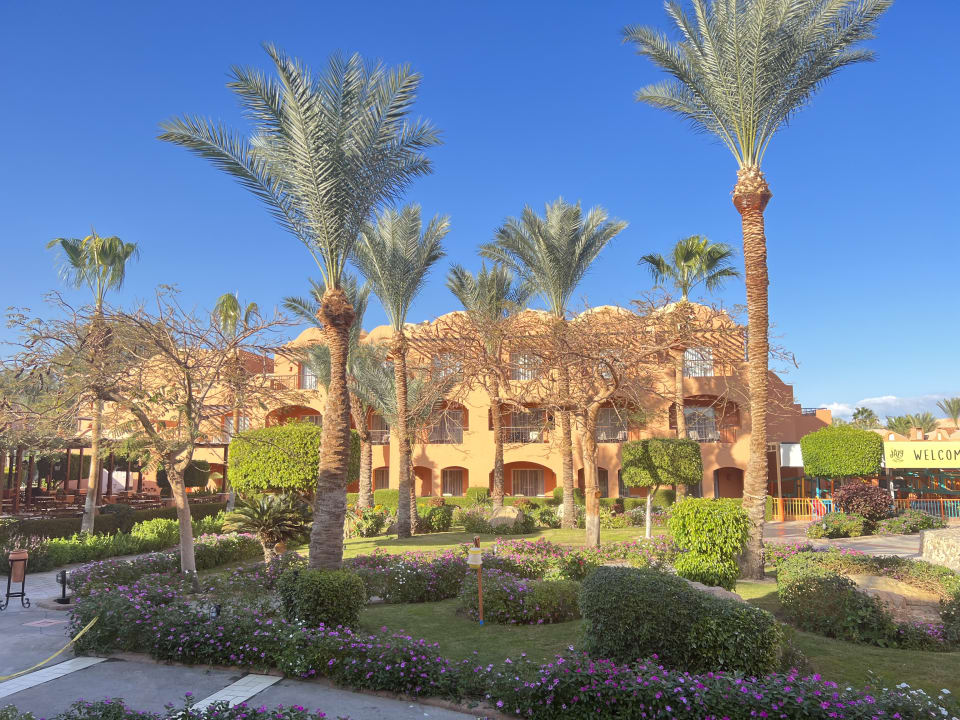 Gartenanlage Jaz Makadi Oasis Resort