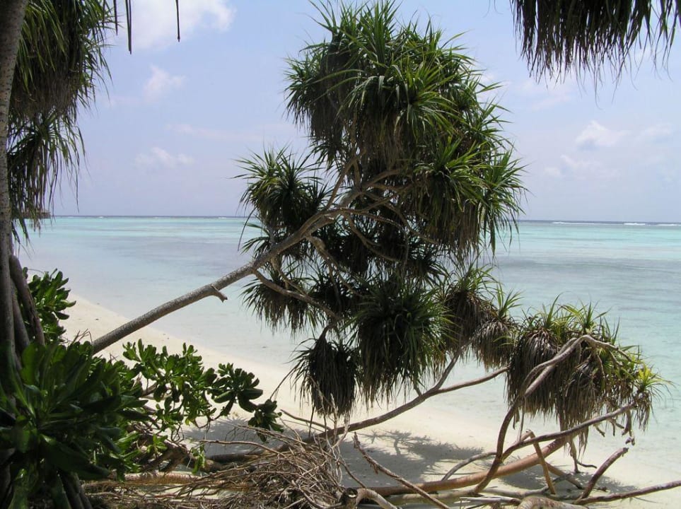 Strandansichten Meeru Maldives Resort Island