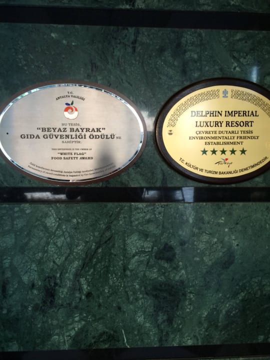 Обслуживание 24 часа классно! Hotel Delphin Imperial