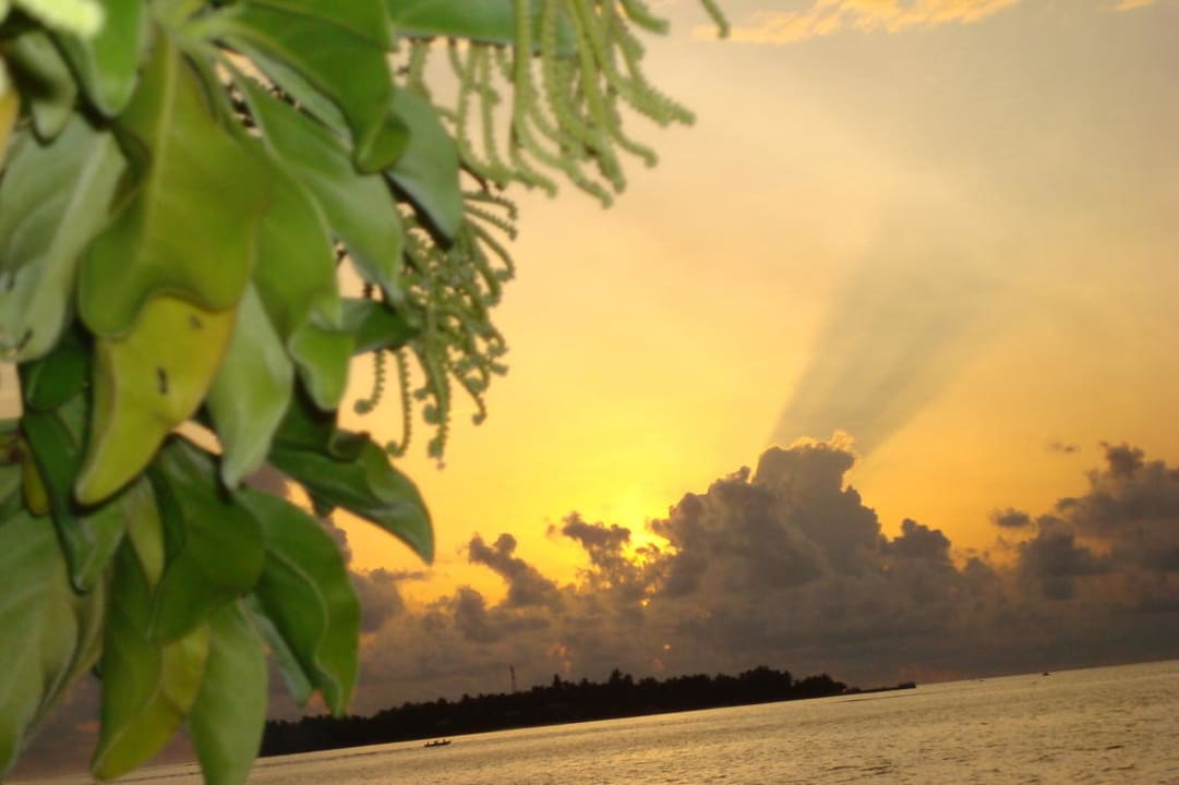 Sonnenaufgang Villa Park Sun Island