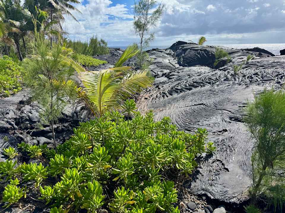 Strand Ma'ukele Lodge