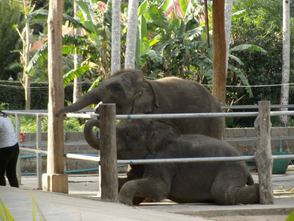 Unsere direkten Nachbarn  Sanook Sanag Resort