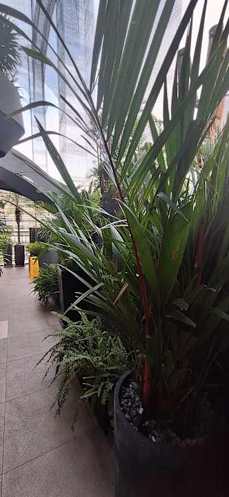 Gartenanlage Bach Suites Saigon, a Member of Design Hotels