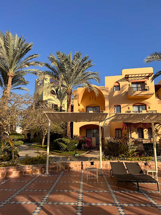 Gartenanlage Steigenberger Coraya Beach - Adults only