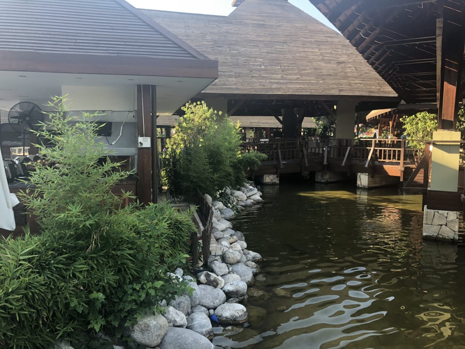 Gartenanlage IC Hotels Green Palace