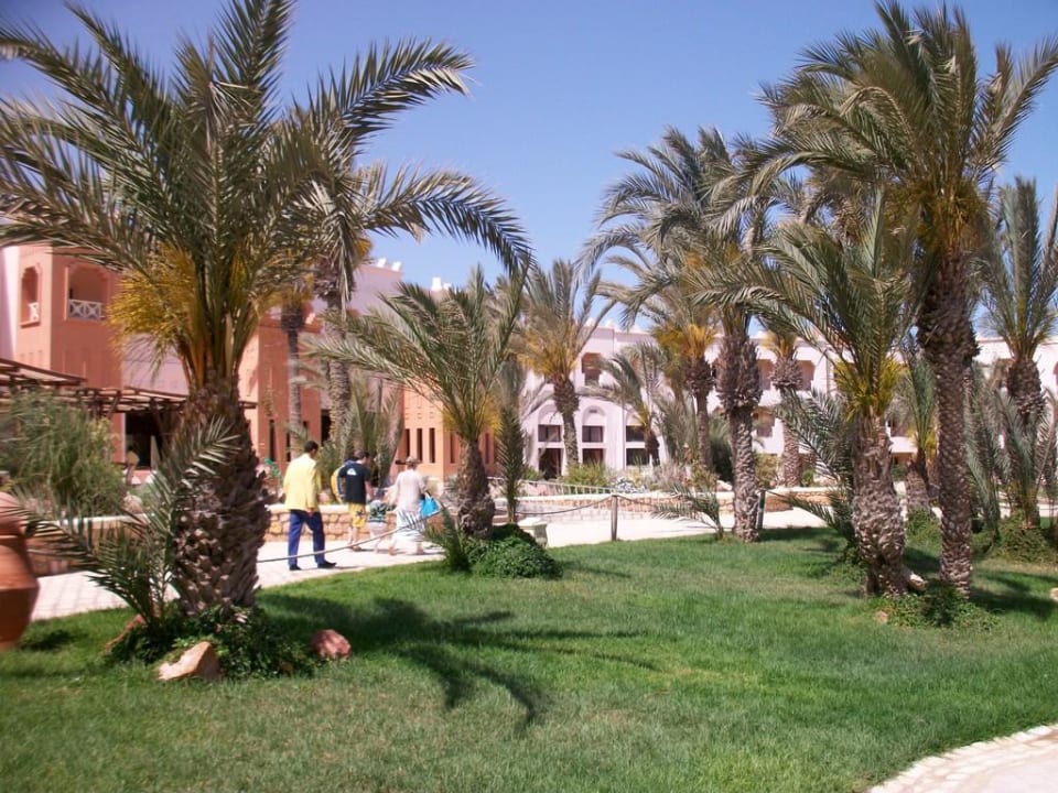 Sicht vom Pool auf das Hotel Vincci Safira Palms