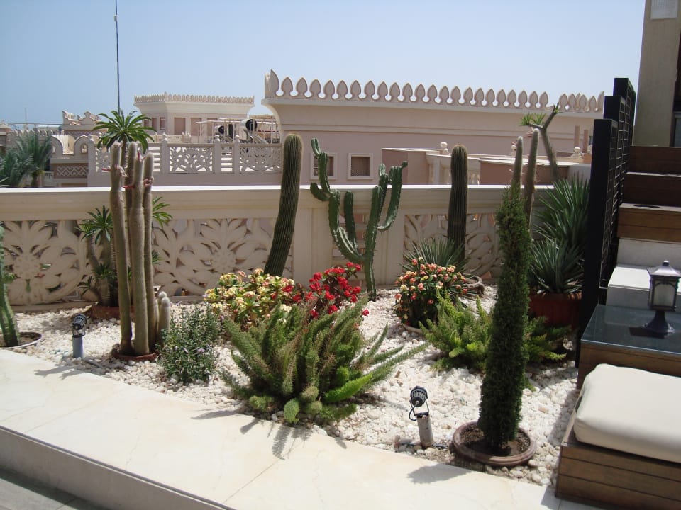 Sonstiges Beach Albatros Resort