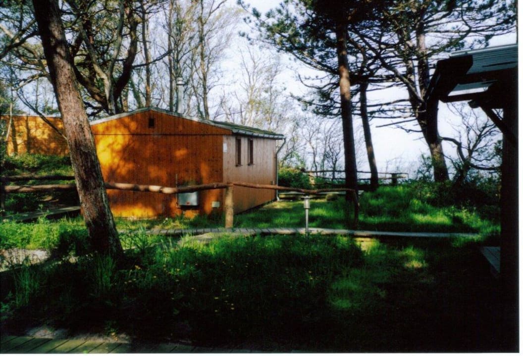 Ferienhaus Außenansicht Ferienpark Heidehof