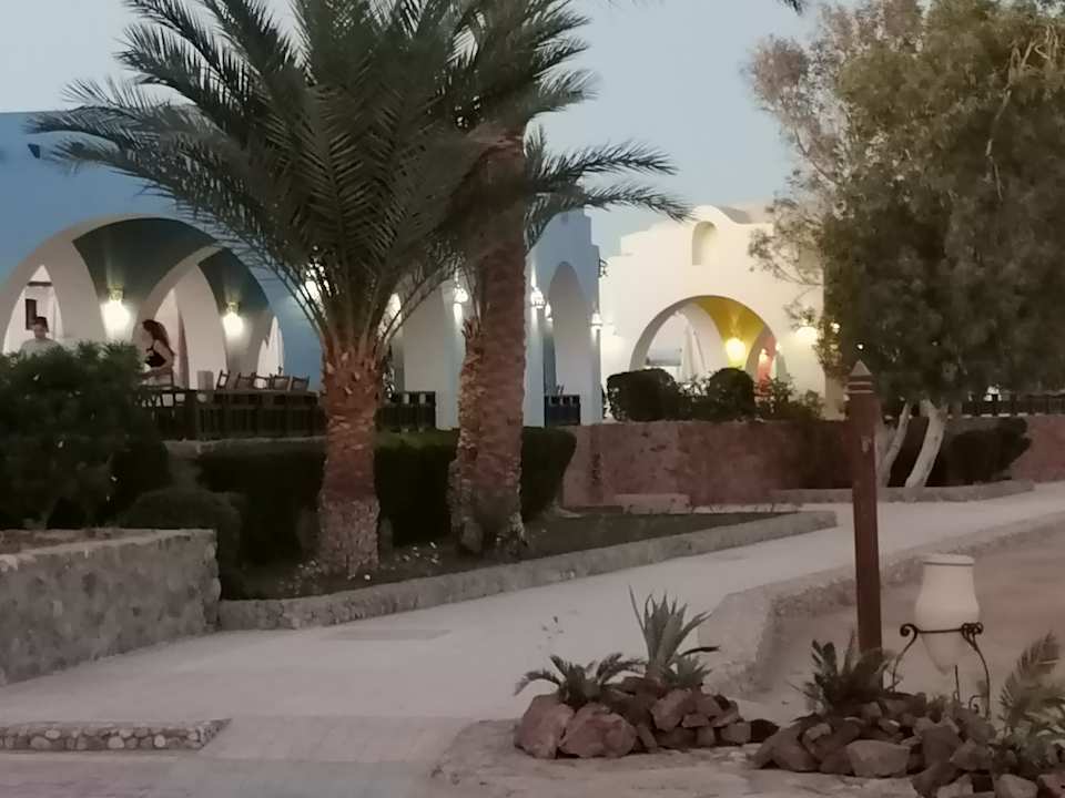 Sport & Freizeit Arabella Azur Resort