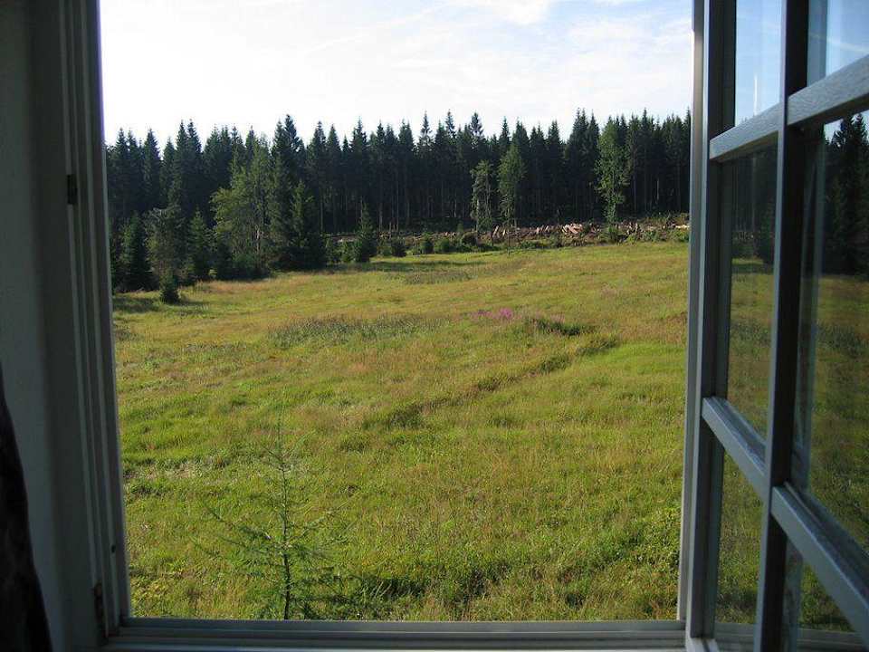 Blick aus dem Fenster vom Nebenhaus Hotel Zum Kranichsee & Nebenhaus