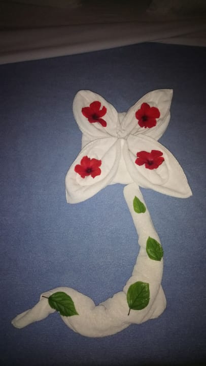 Zimmer Utopia Beach Club