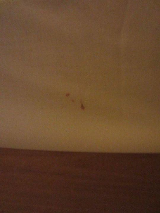 Blutflecken auf dem Laken Hersonissos Palace