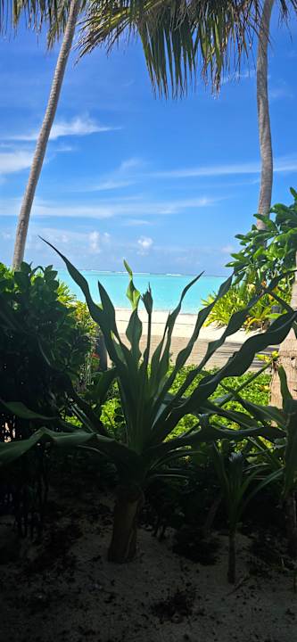 Ausblick Hotel Riu Atoll