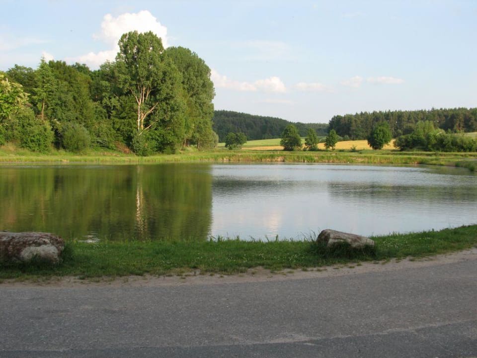 Aussicht auf den Teich Hotel Landgasthof Zur Hammerschmiede
