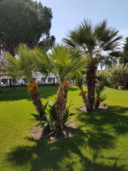 Gartenanlage Voyage Belek Golf & Spa