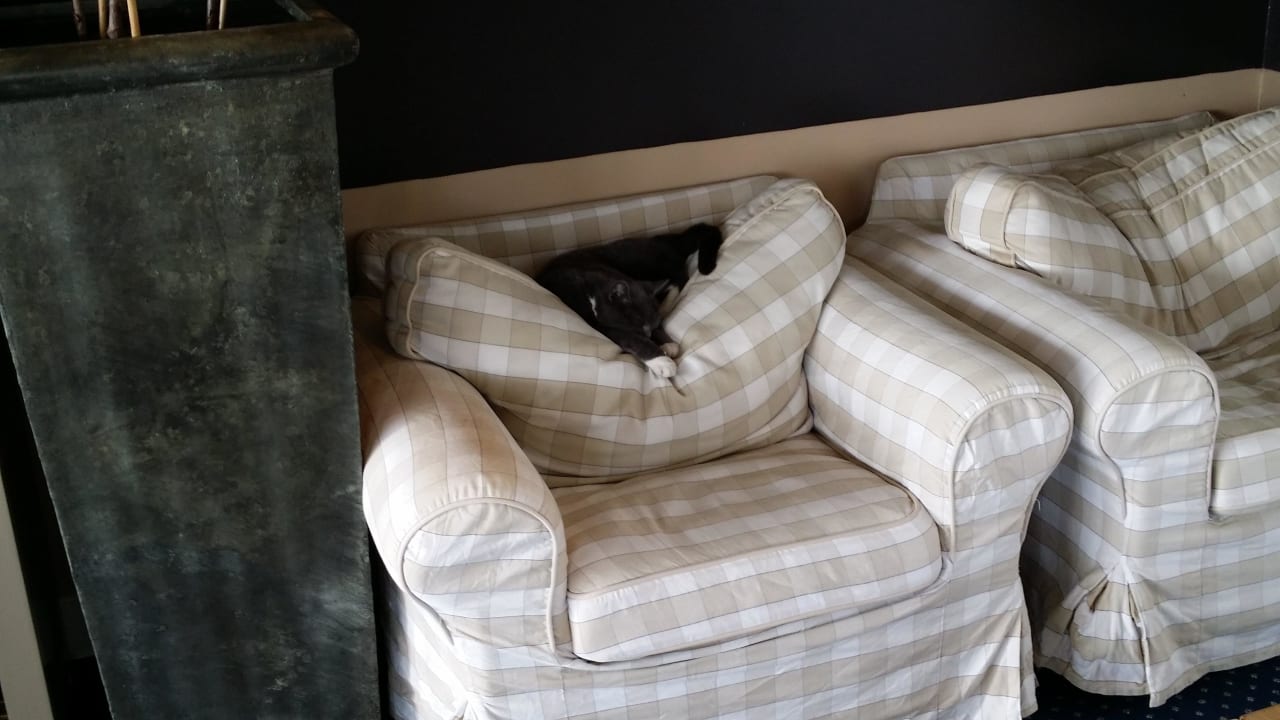 Die Hauskatze Hotel Nassau Bergen