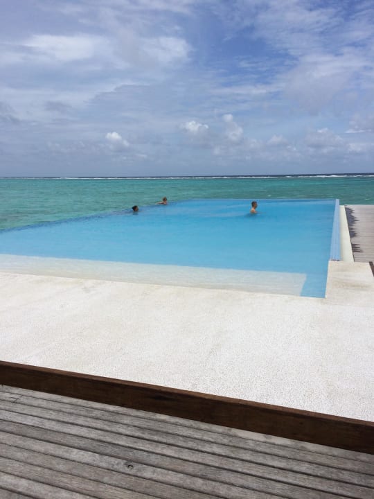 Pool Summer Island Maldives