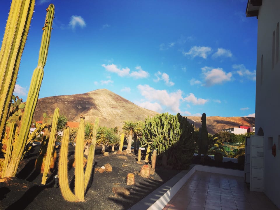 Aussicht von der Terrasse Club Jandia Princess