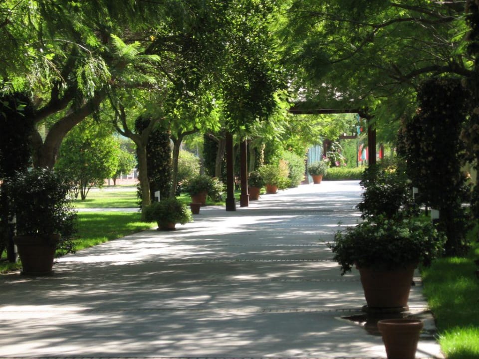 Garten TUI MAGIC LIFE Calabria