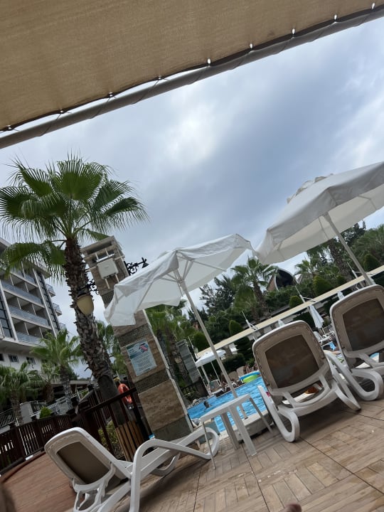 Pool Dizalya Palm Garden