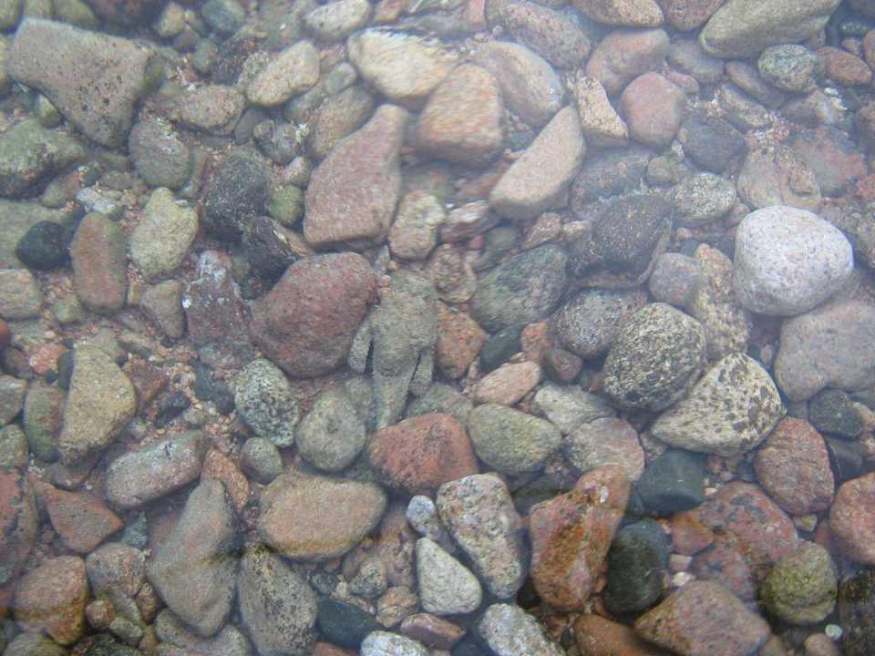 Steinfisch Happy Life Village