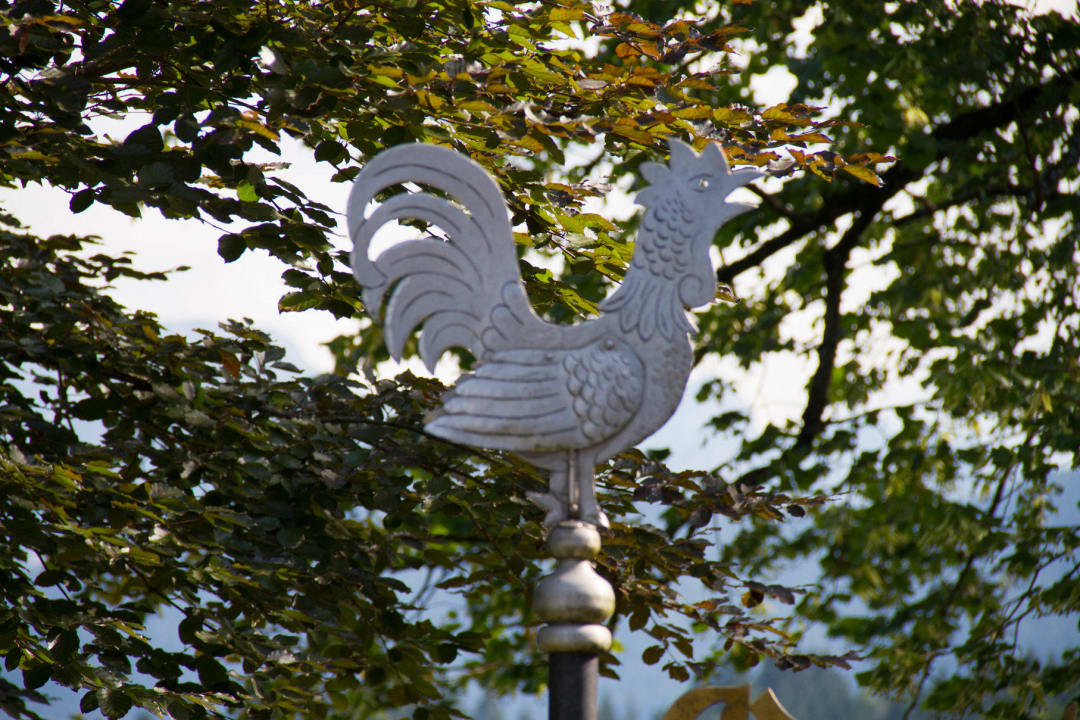 Der "Gockel" im Garten Landhotel Gockelwirt