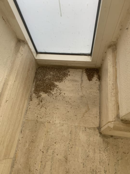 Sonstiges PALOMA Perissia