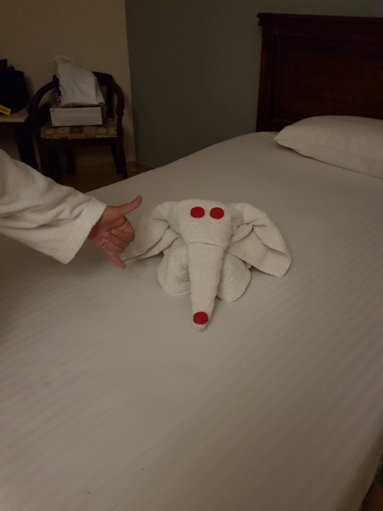 Zimmer Riviera Aqua Park Resort